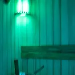 Chatki Niwki U Zboja Orman Evi
