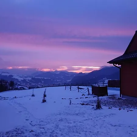 Orman Evi Chatki Niwki U Zboja