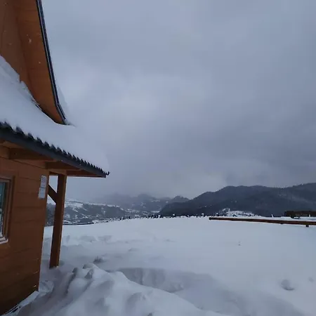 Chatki Niwki U Zboja