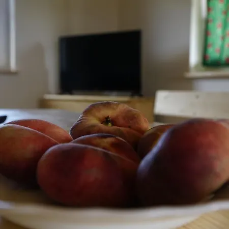 롯지 Chatki Niwki U Zboja *