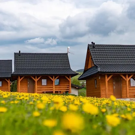 Chatki Niwki U Zboja Lodge