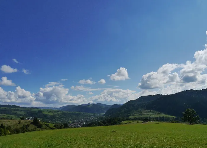 Domek letniskowy Chatki Niwki U Zbója