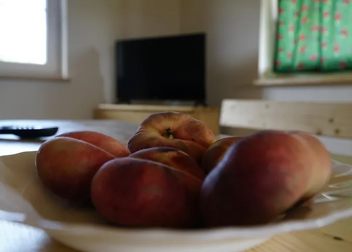 Domek letniskowy Chatki Niwki U Zbója *